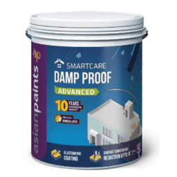 damp-proof-advance
