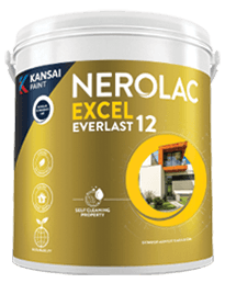 Excel Everlast 12
