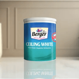 Ceiling White